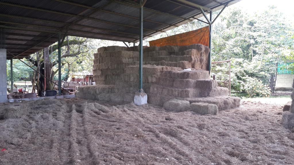 Rancho Curubande Lodge Liberia Esterno foto