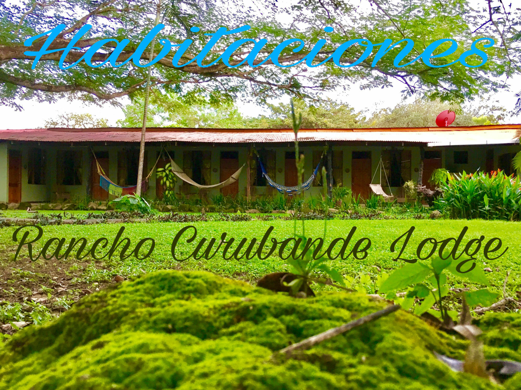 Rancho Curubande Lodge Liberia Esterno foto