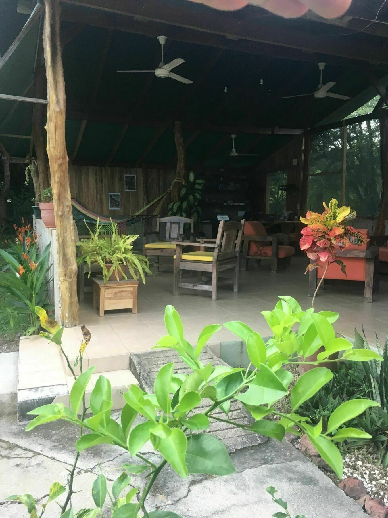 Rancho Curubande Lodge Liberia Esterno foto