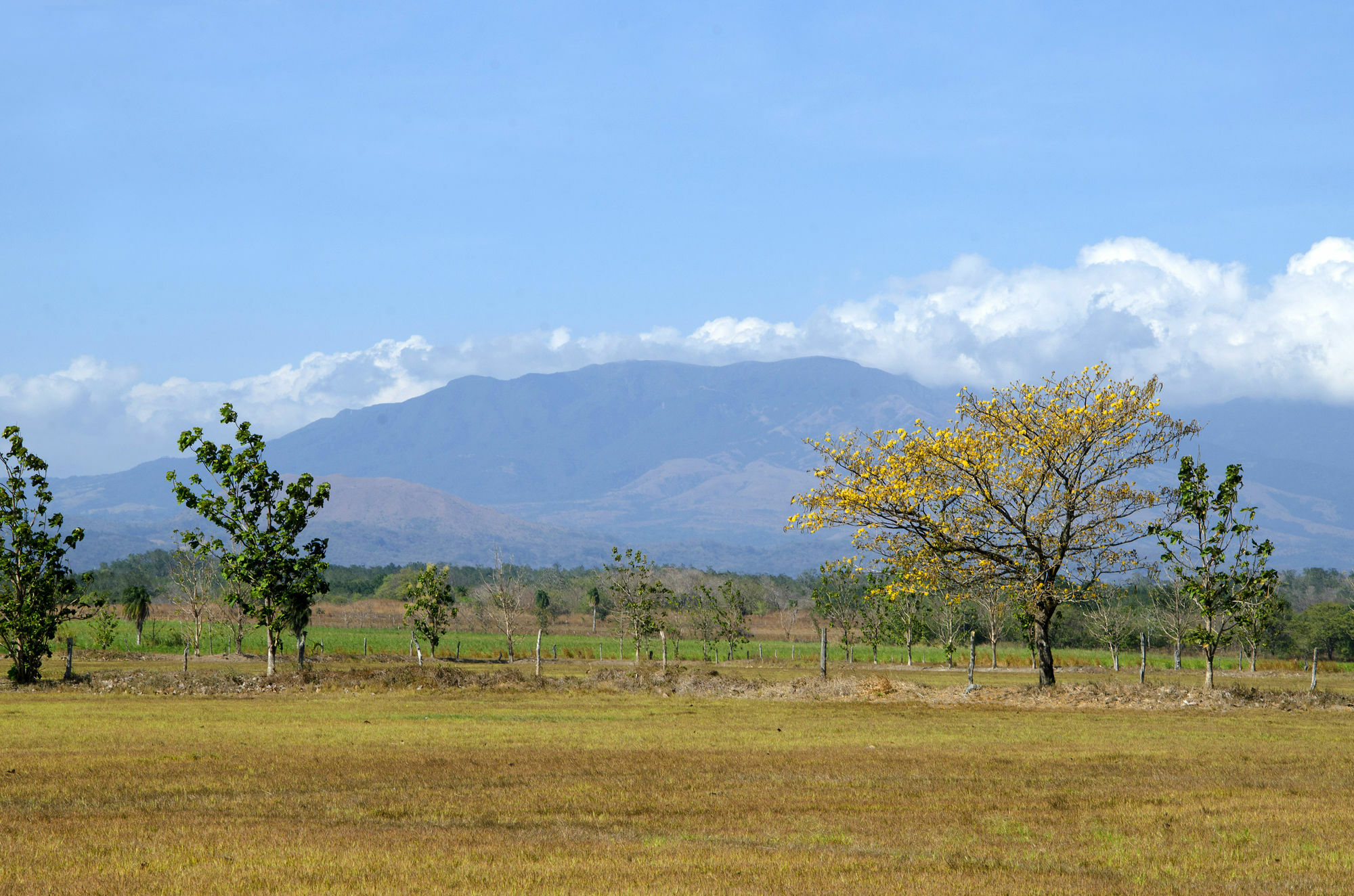 Rancho Curubande Lodge Liberia Esterno foto
